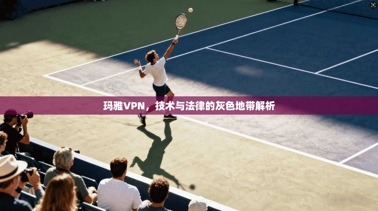 玛雅VPN，技术与法律的灰色地带解析