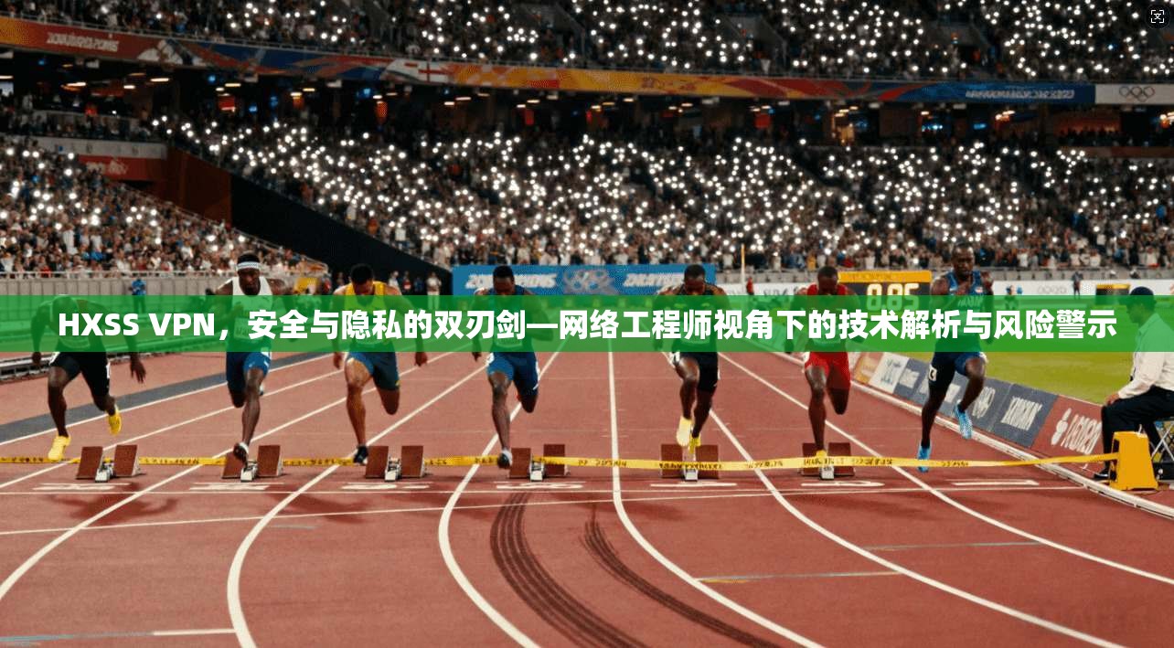 HXSS VPN，安全与隐私的双刃剑—网络工程师视角下的技术解析与风险警示