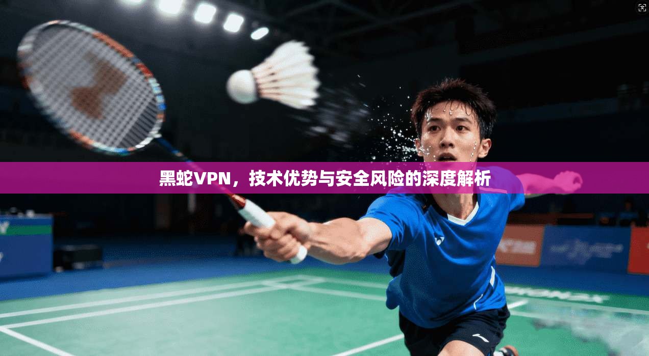 黑蛇VPN，技术优势与安全风险的深度解析