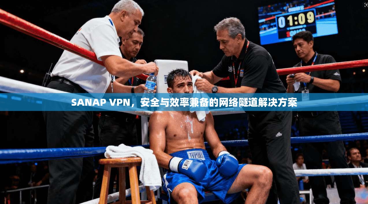 SANAP VPN,安全与效率兼备的网络隧道解决方案 SANAP VPN,安全与效率兼备的网络隧道解决方案
