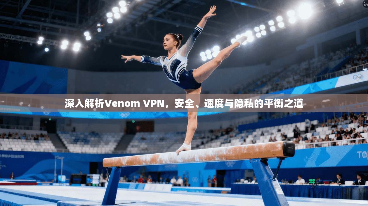深入解析Venom VPN，安全、速度与隐私的平衡之道
