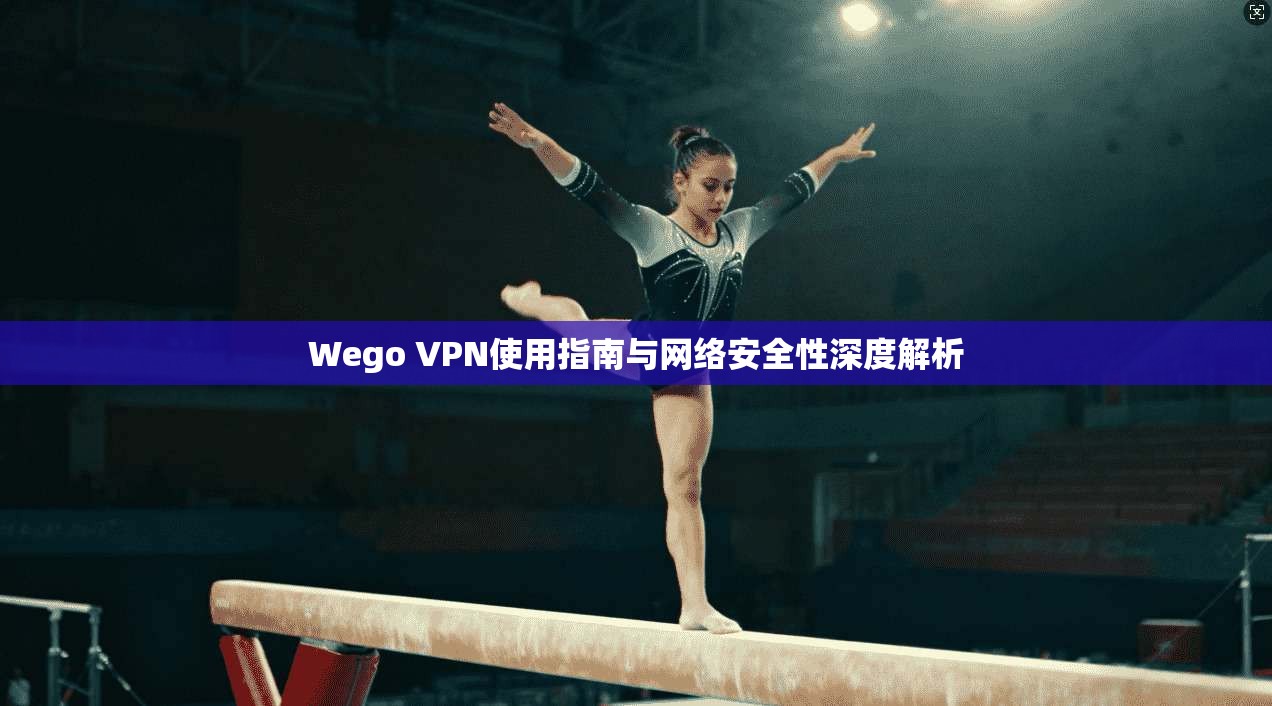 Wego VPN使用指南与网络安全性深度解析