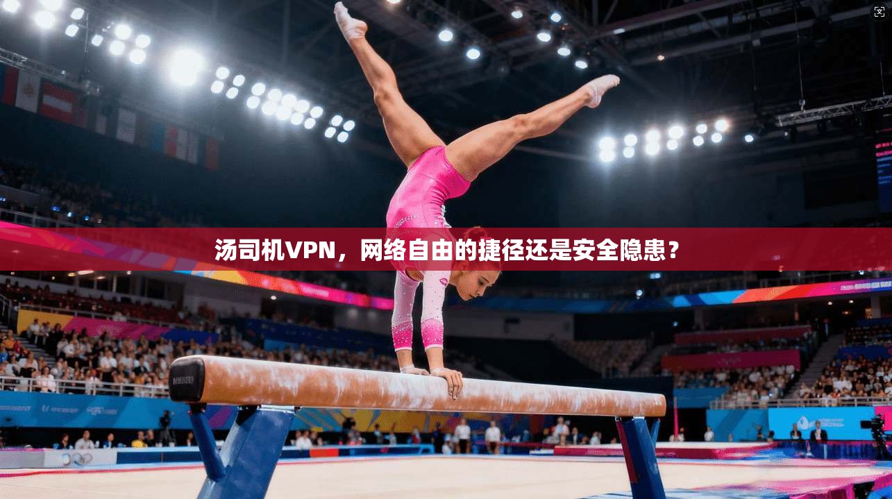 汤司机VPN，网络自由的捷径还是安全隐患？