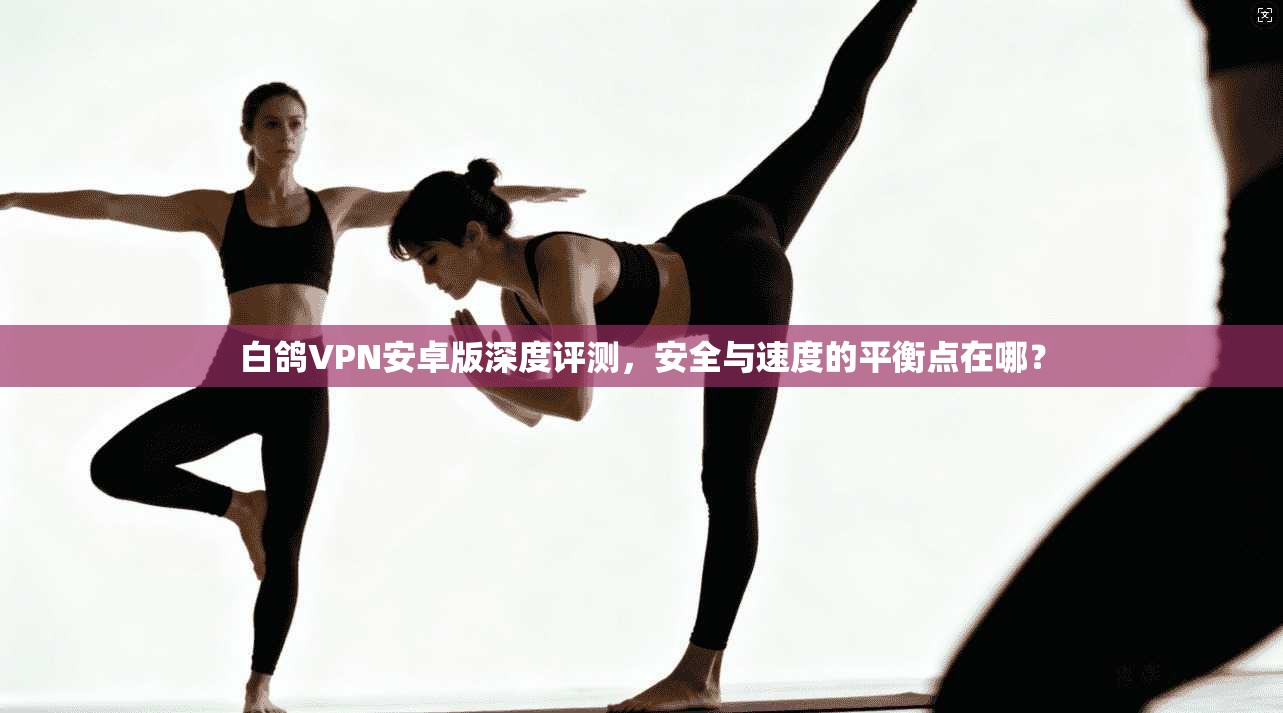 白鸽VPN安卓版深度评测，安全与速度的平衡点在哪？