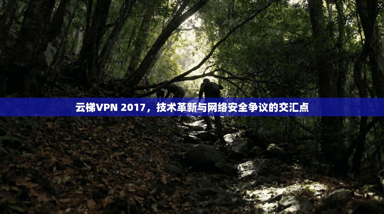 云梯VPN 2017，技术革新与网络安全争议的交汇点