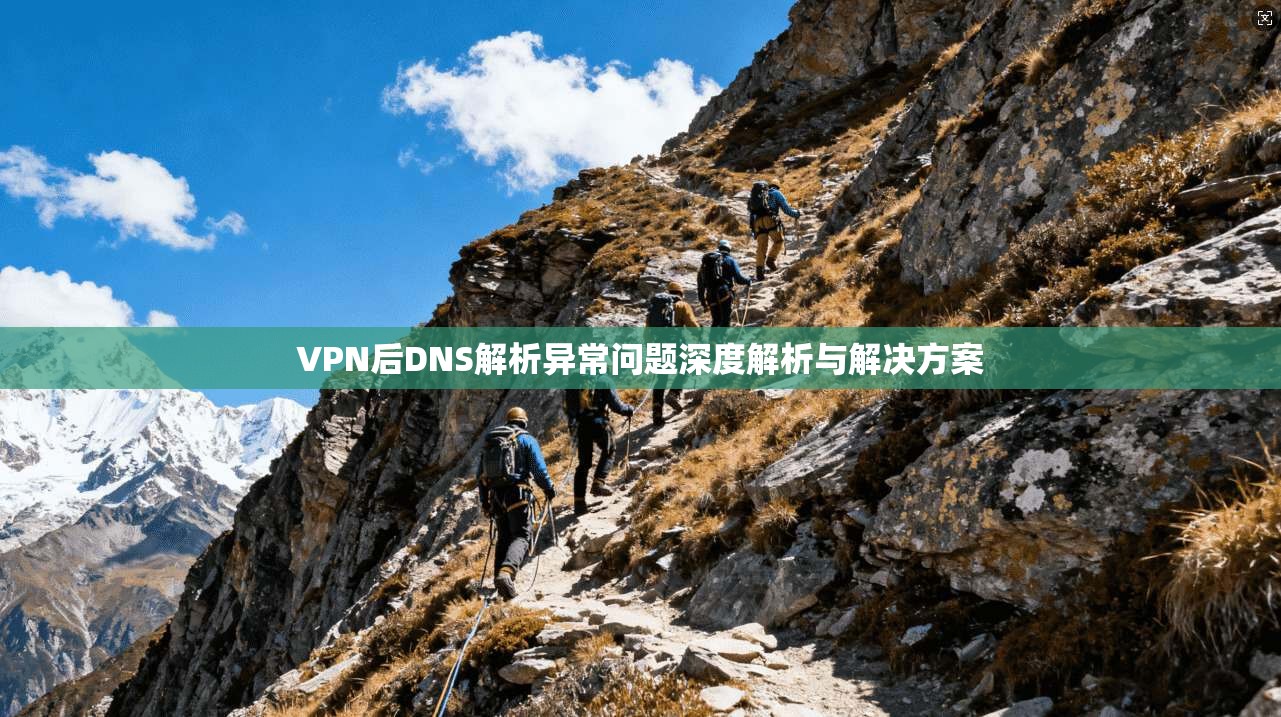 VPN后DNS解析异常问题深度解析与解决方案