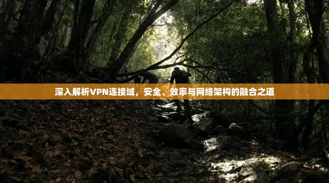 深入解析VPN连接域，安全、效率与网络架构的融合之道