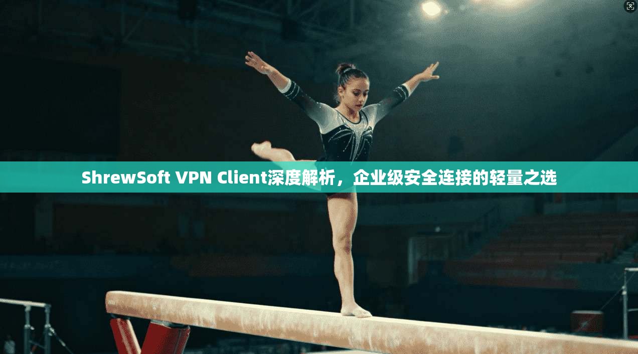 ShrewSoft VPN Client深度解析，企业级安全连接的轻量之选