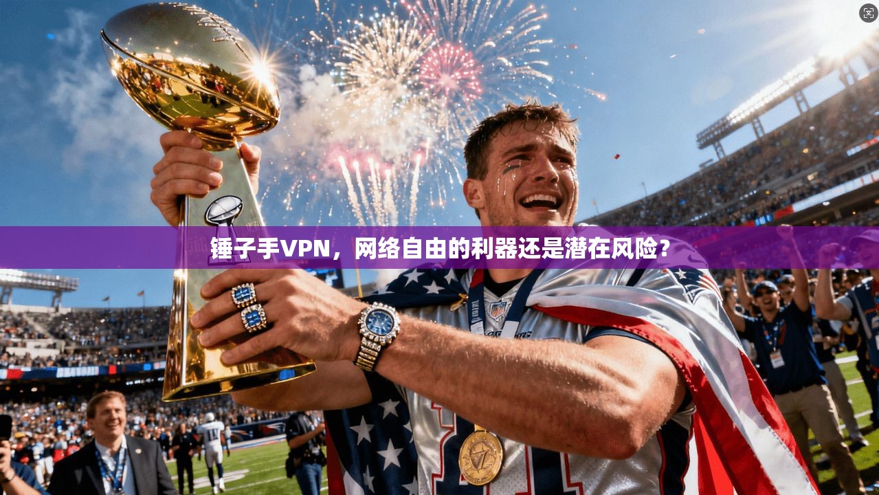 锤子手VPN，网络自由的利器还是潜在风险？