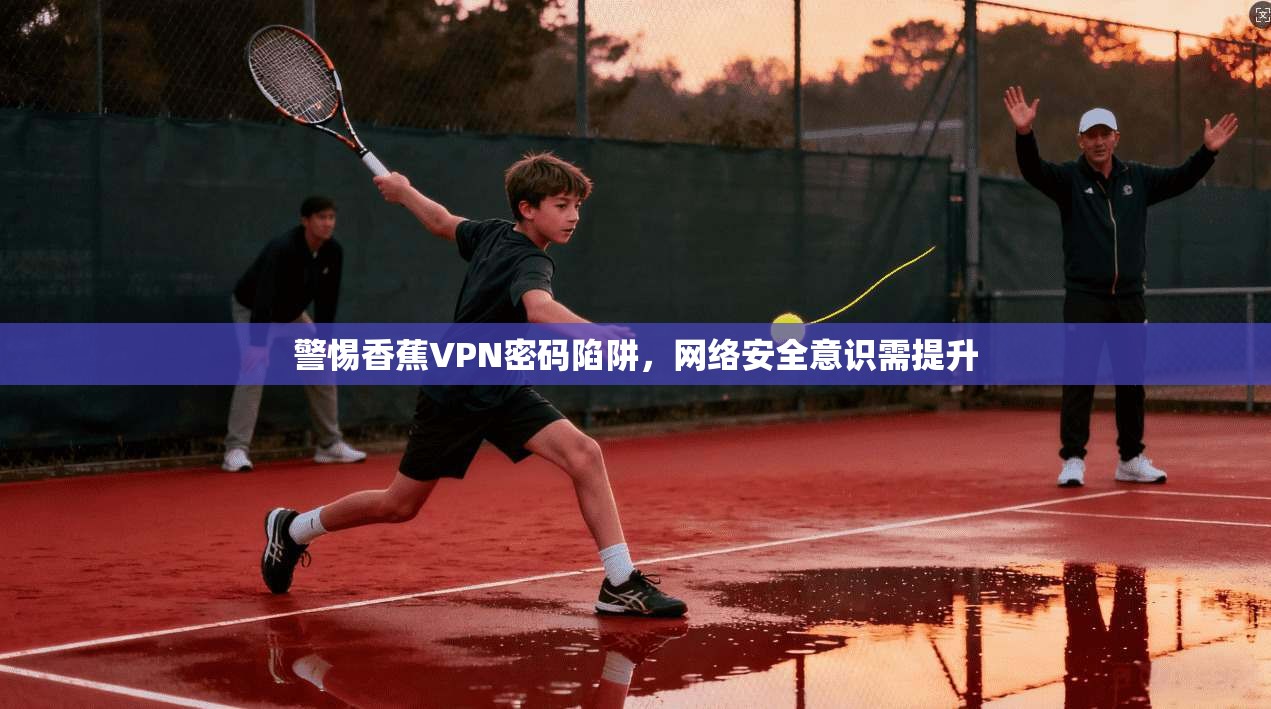 警惕香蕉VPN密码陷阱，网络安全意识需提升