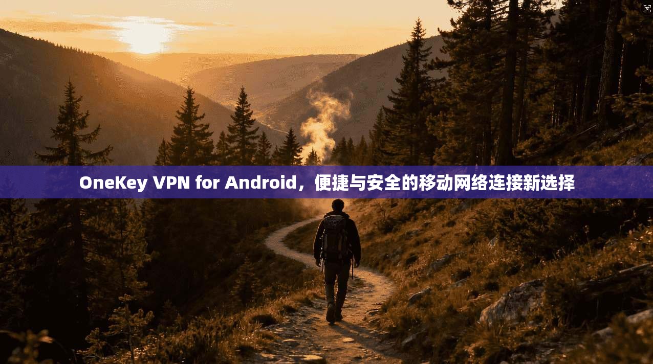 OneKey VPN for Android，便捷与安全的移动网络连接新选择