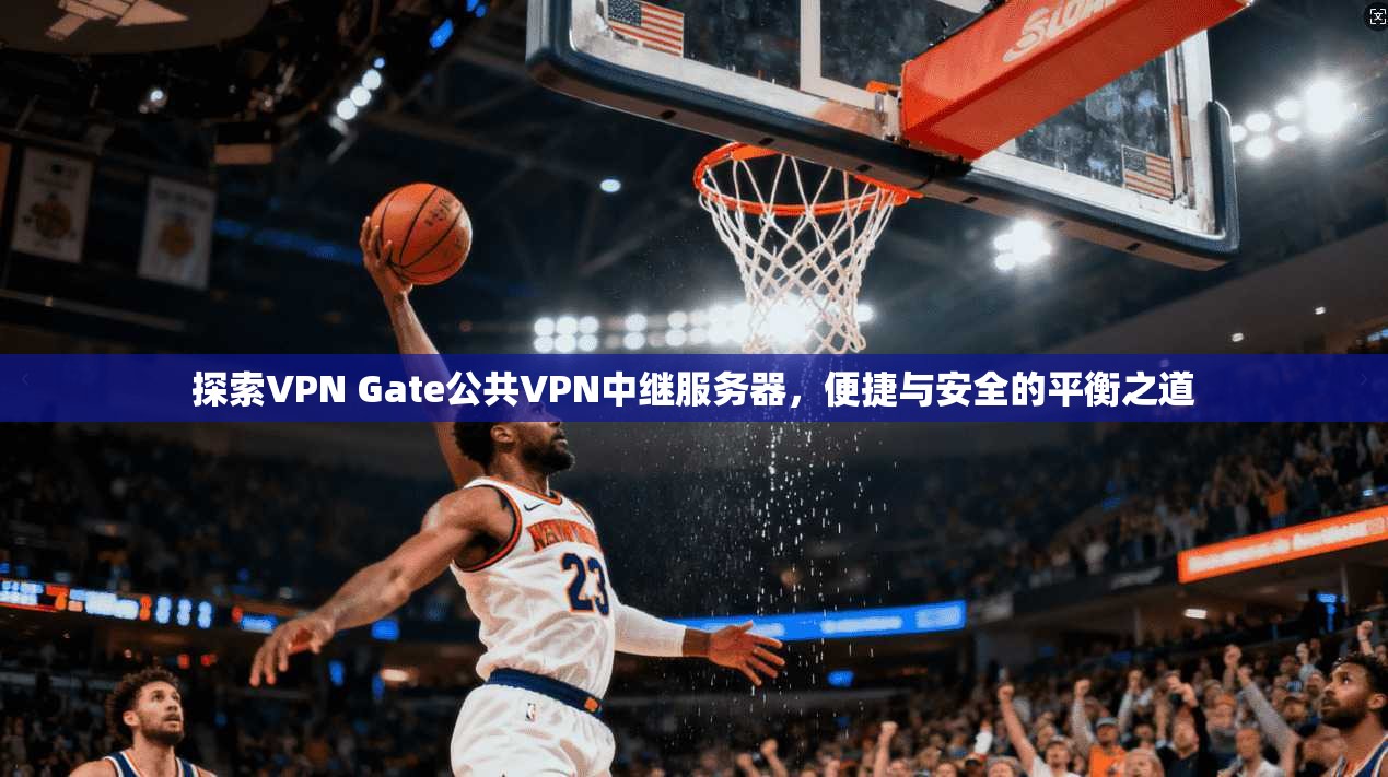 探索VPN Gate公共VPN中继服务器，便捷与安全的平衡之道