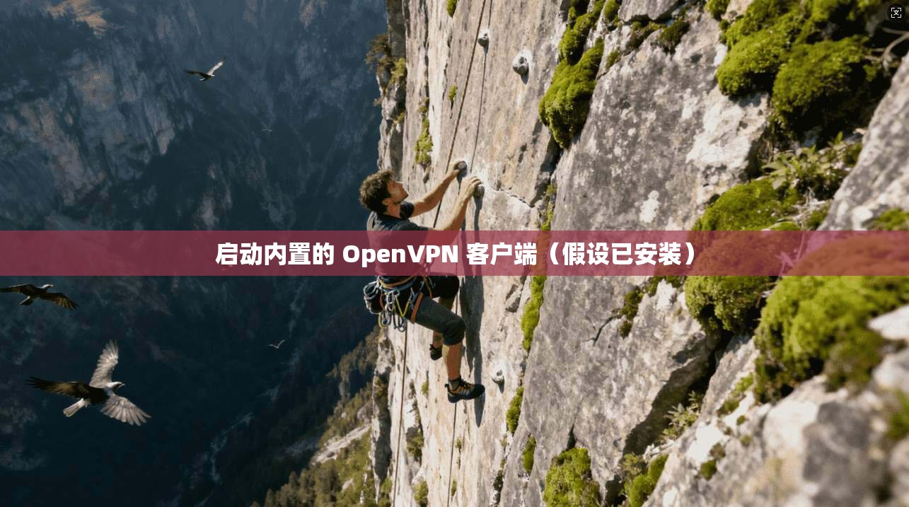 启动内置的 OpenVPN 客户端（假设已安装）