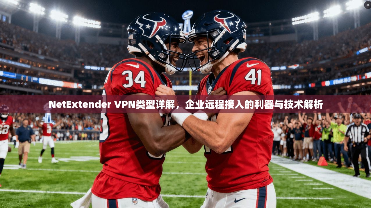 NetExtender VPN类型详解,企业远程接入的利器与技术解析 NetExtender VPN类型详解,企业远程接入的利器与技术解析