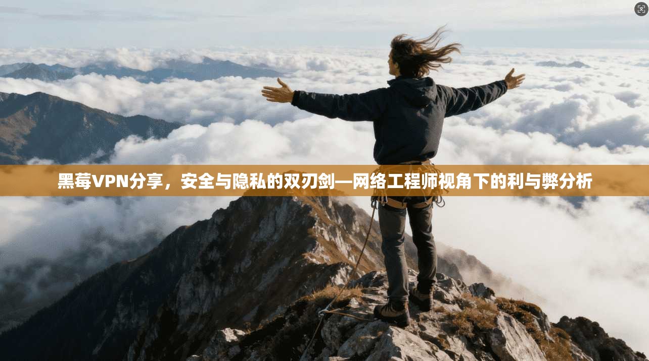 黑莓VPN分享,安全与隐私的双刃剑—网络工程师视角下的利与弊分析 黑莓VPN分享,安全与隐私的双刃剑—网络工程师视角下的利与弊分析