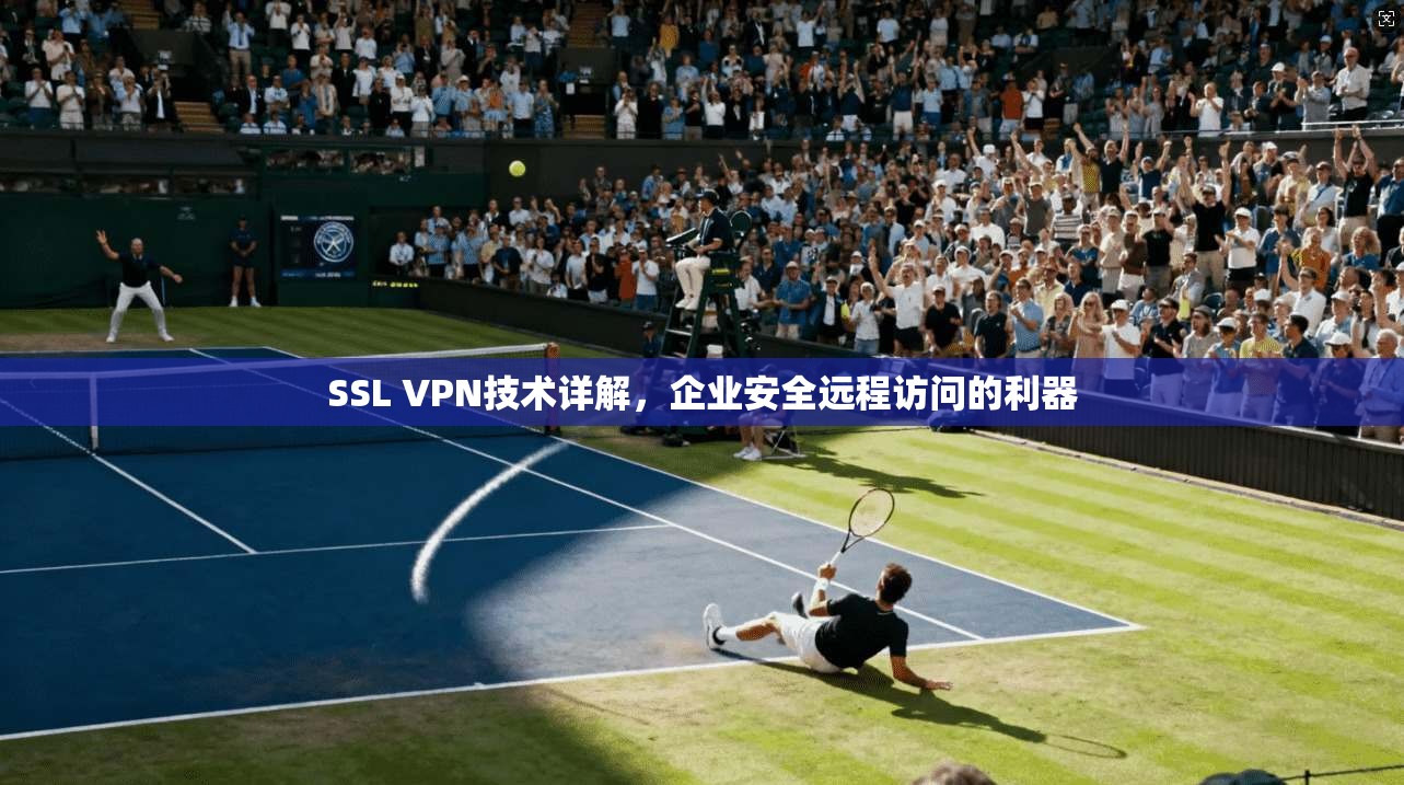 SSL VPN技术详解，企业安全远程访问的利器