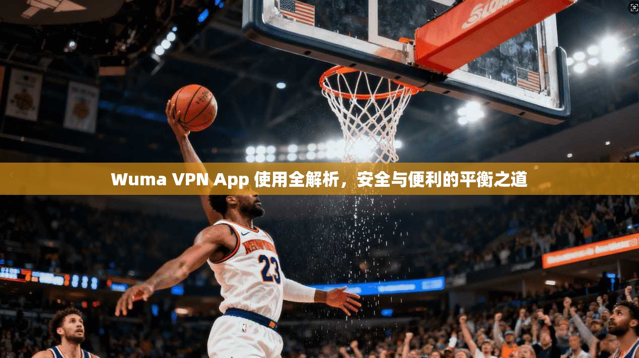 Wuma VPN App 使用全解析，安全与便利的平衡之道