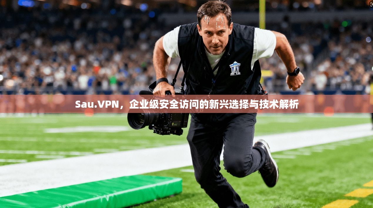 Sau.VPN，企业级安全访问的新兴选择与技术解析