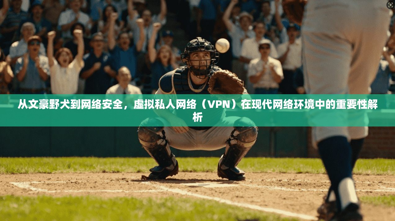 从文豪野犬到网络安全，虚拟私人网络（VPN）在现代网络环境中的重要性解析