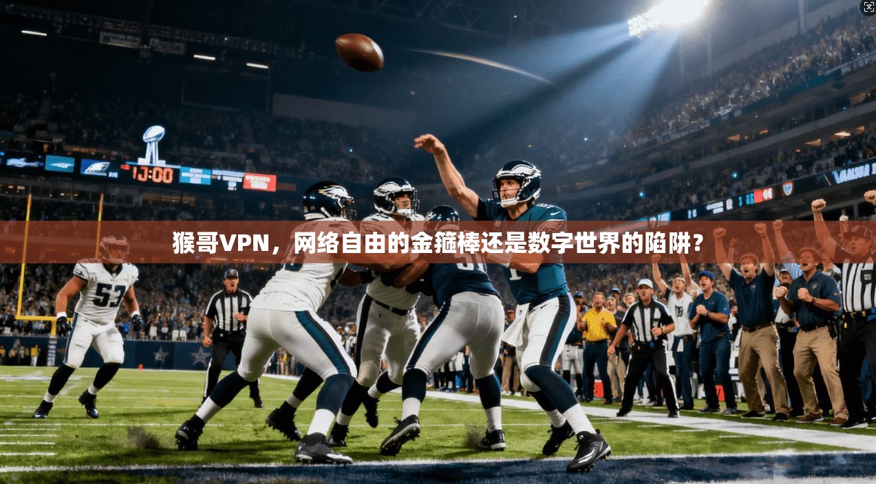 猴哥VPN，网络自由的金箍棒还是数字世界的陷阱？