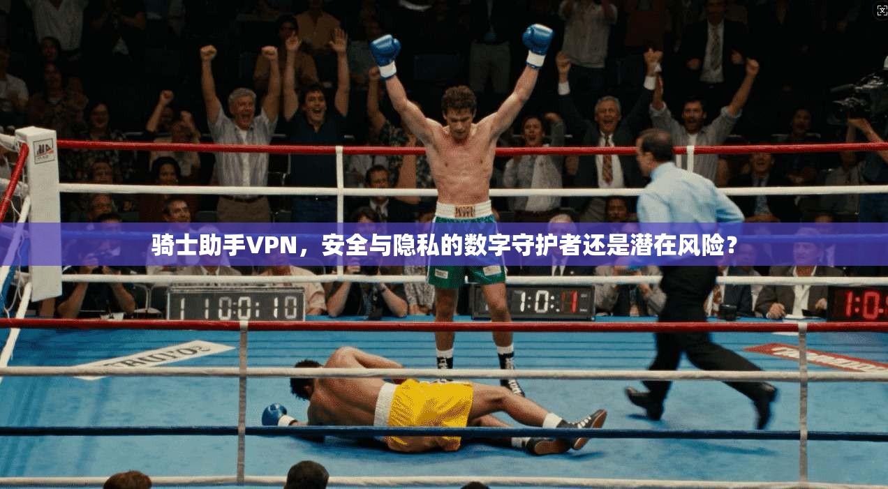骑士助手VPN，安全与隐私的数字守护者还是潜在风险？