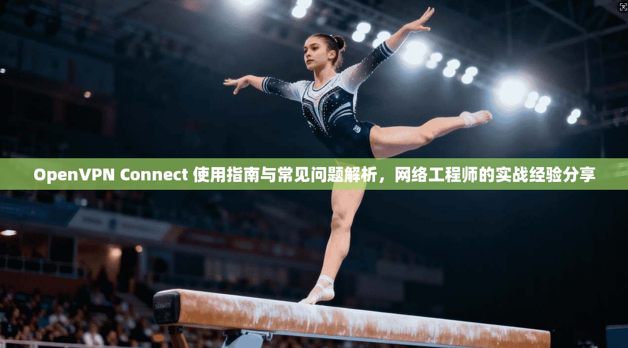 OpenVPN Connect 使用指南与常见问题解析，网络工程师的实战经验分享