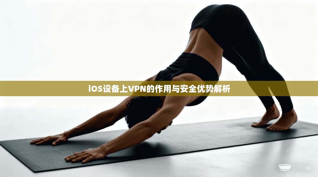 iOS设备上VPN的作用与安全优势解析