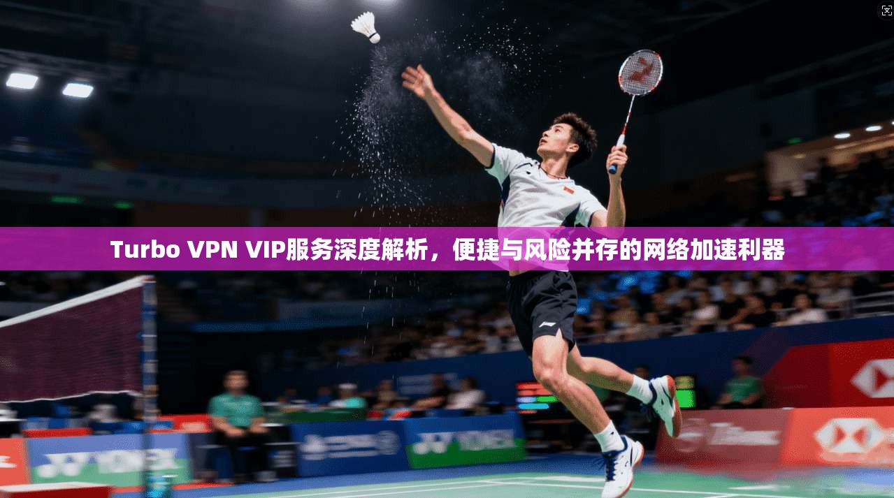 Turbo VPN VIP服务深度解析，便捷与风险并存的网络加速利器