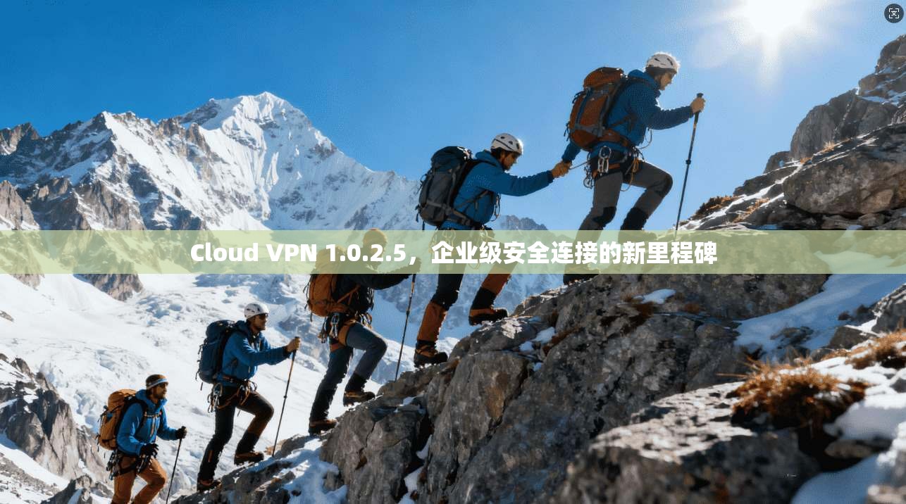 Cloud VPN 1.0.2.5，企业级安全连接的新里程碑