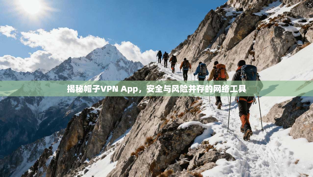 揭秘帽子VPN App，安全与风险并存的网络工具