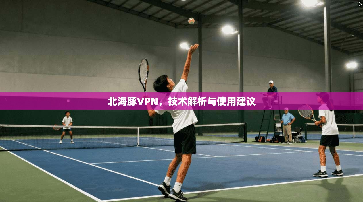 北海豚VPN，技术解析与使用建议