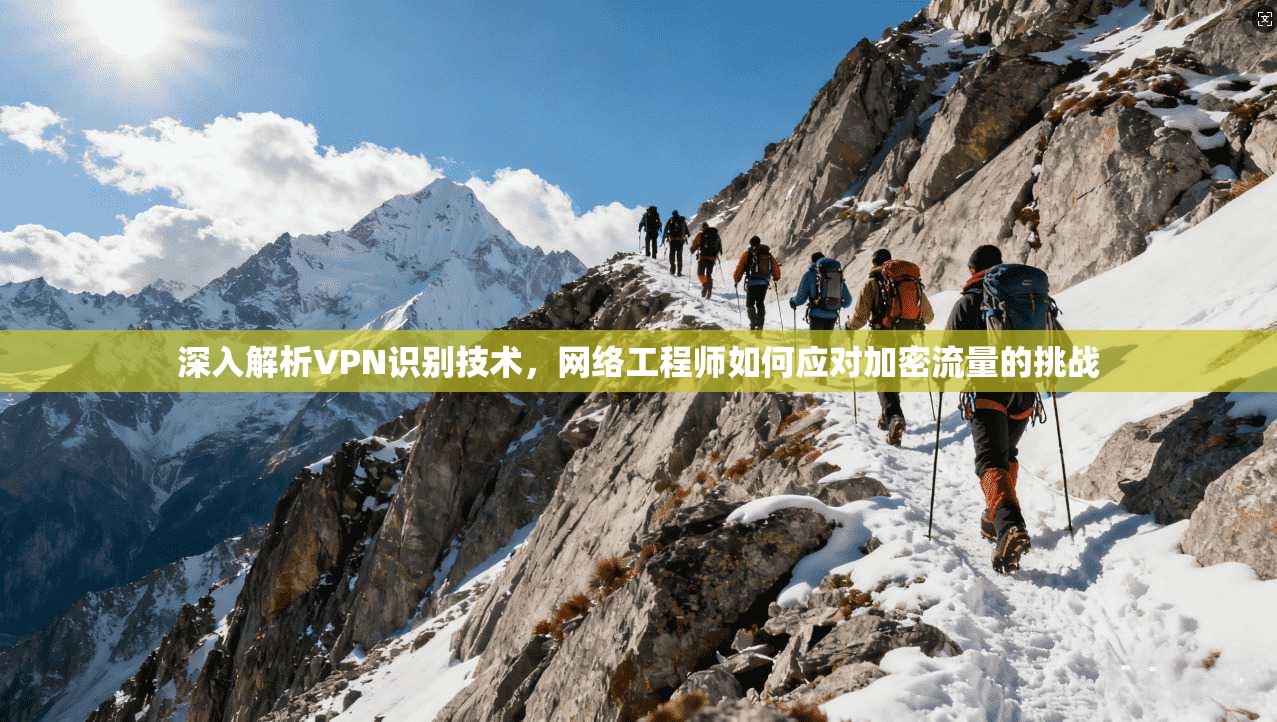 深入解析VPN识别技术，网络工程师如何应对加密流量的挑战