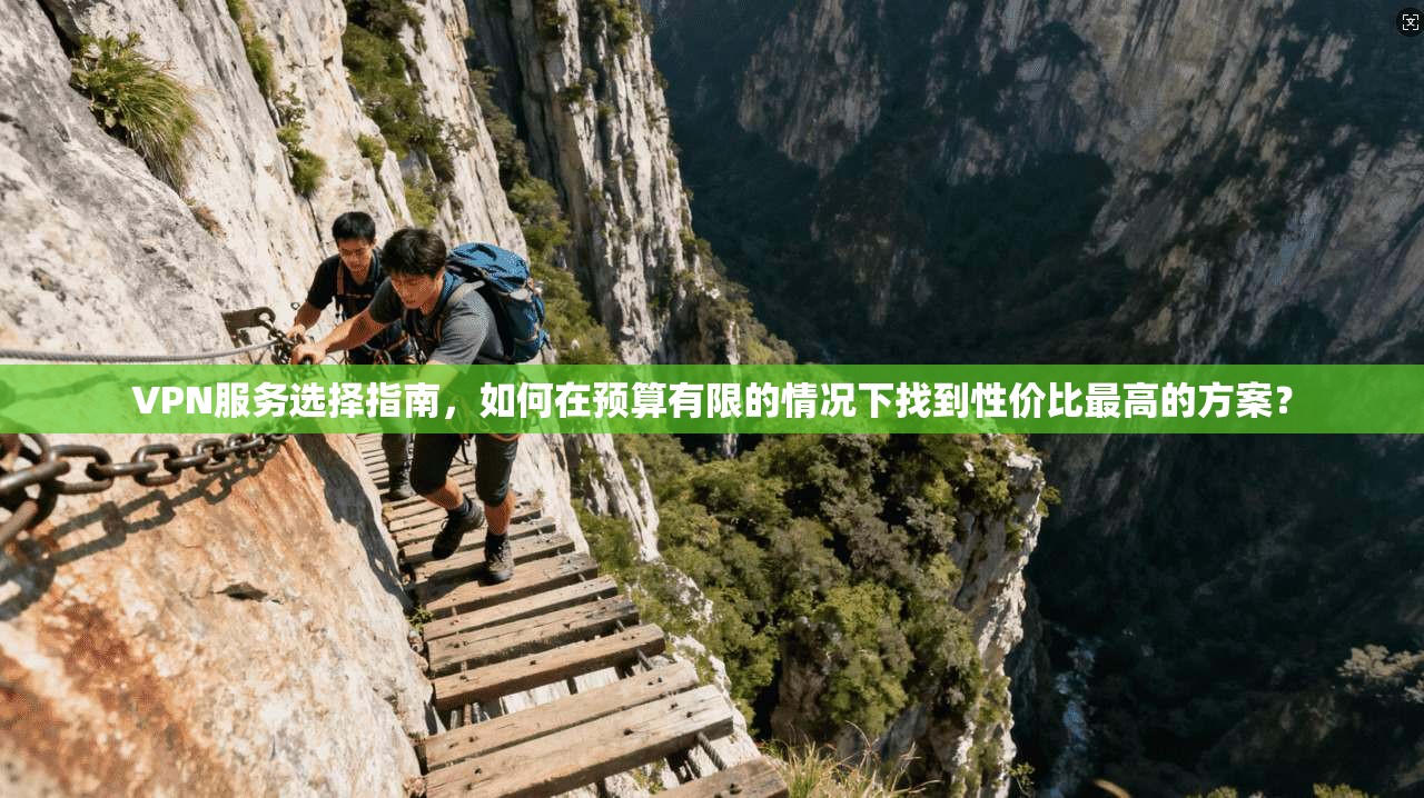 VPN服务选择指南，如何在预算有限的情况下找到性价比最高的方案？