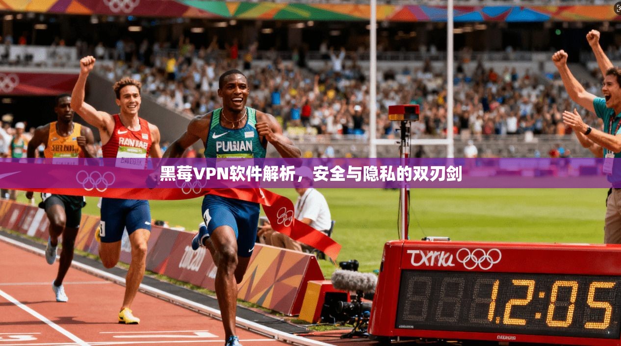 黑莓VPN软件解析，安全与隐私的双刃剑