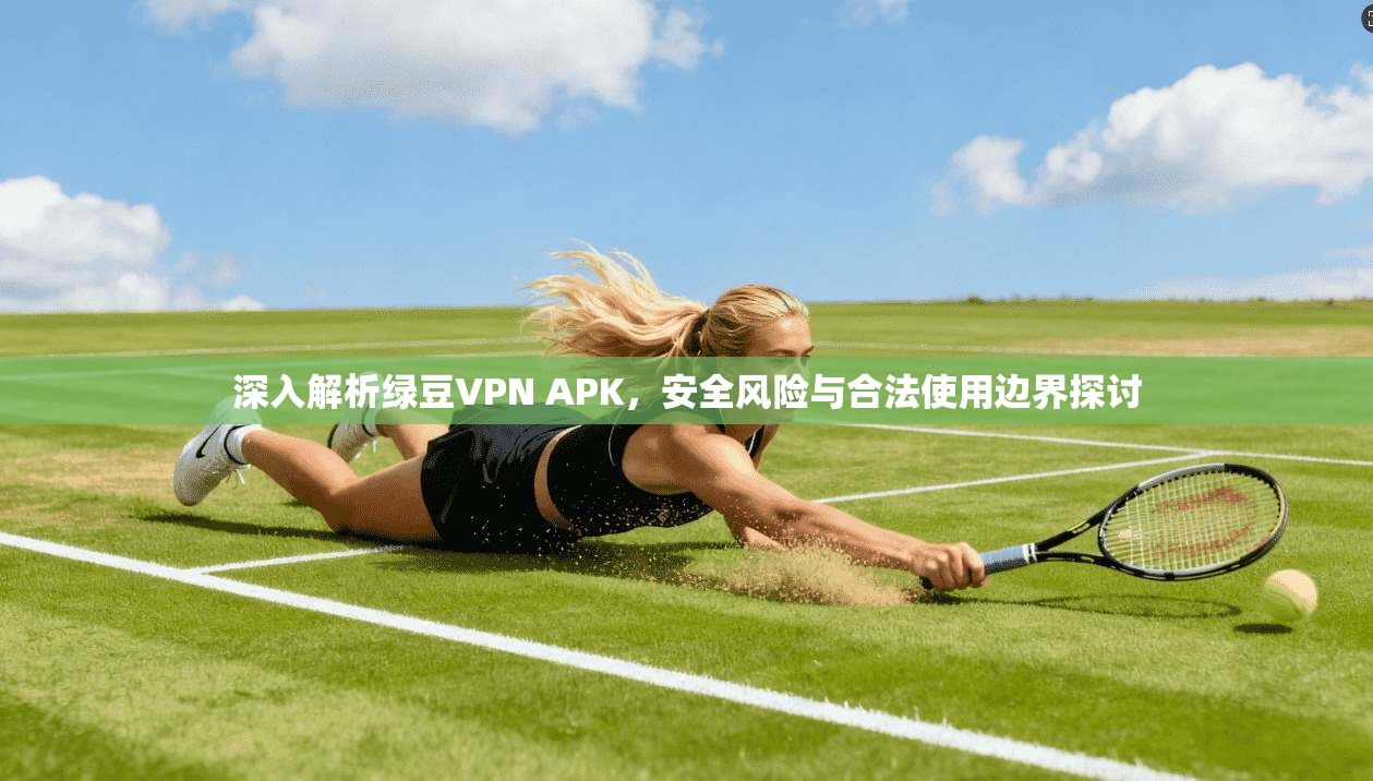 深入解析绿豆VPN APK，安全风险与合法使用边界探讨