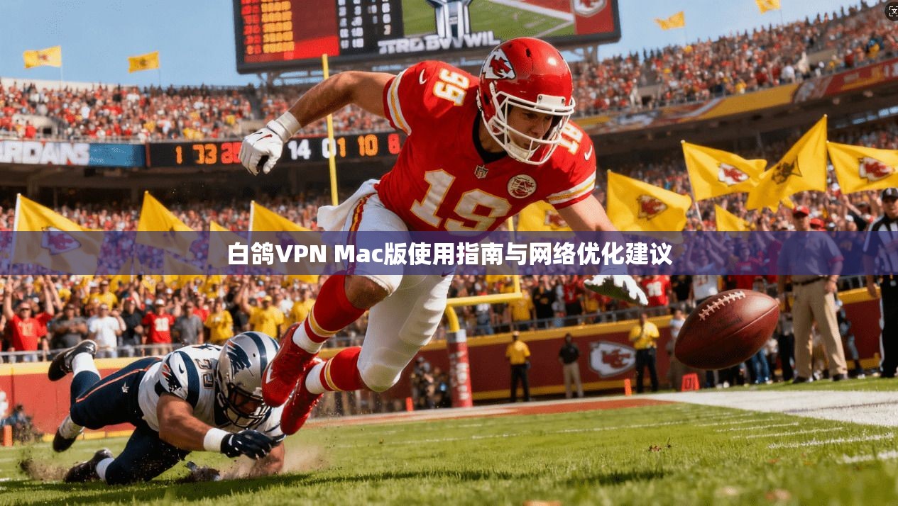 白鸽VPN Mac版使用指南与网络优化建议