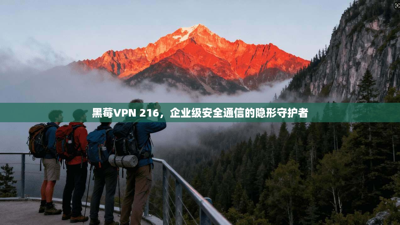 黑莓VPN 216，企业级安全通信的隐形守护者