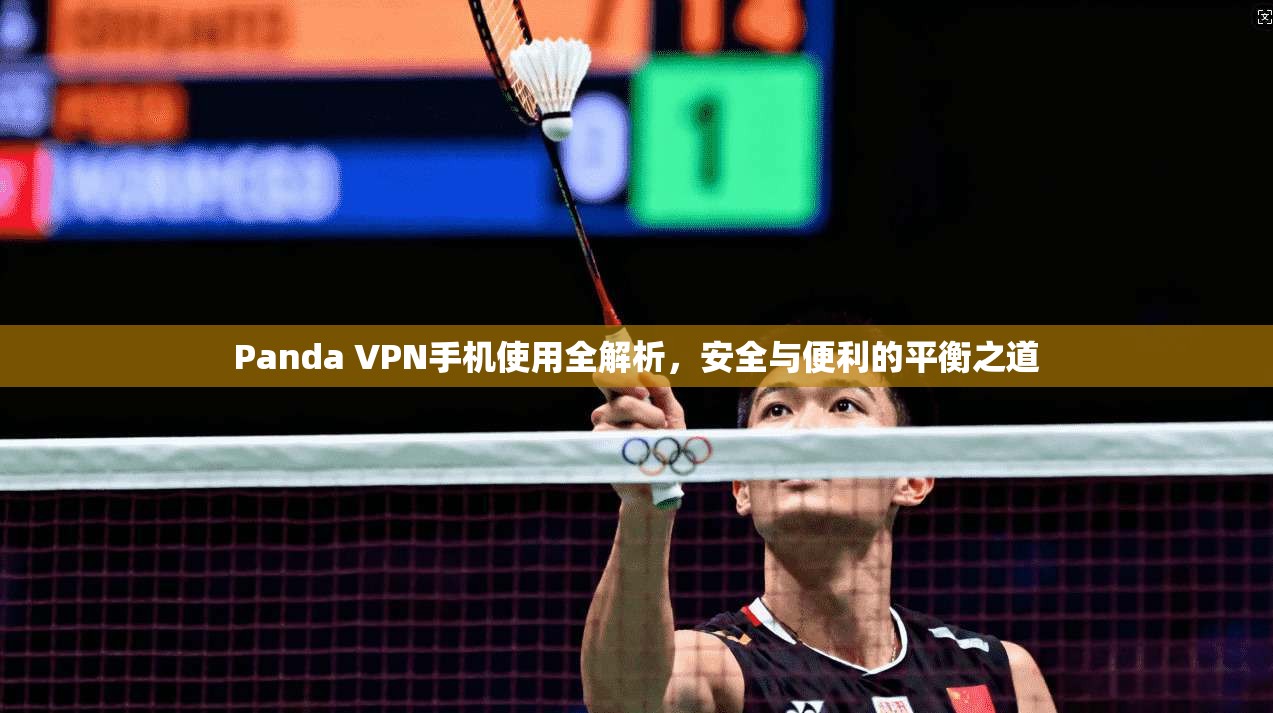 Panda VPN手机使用全解析，安全与便利的平衡之道