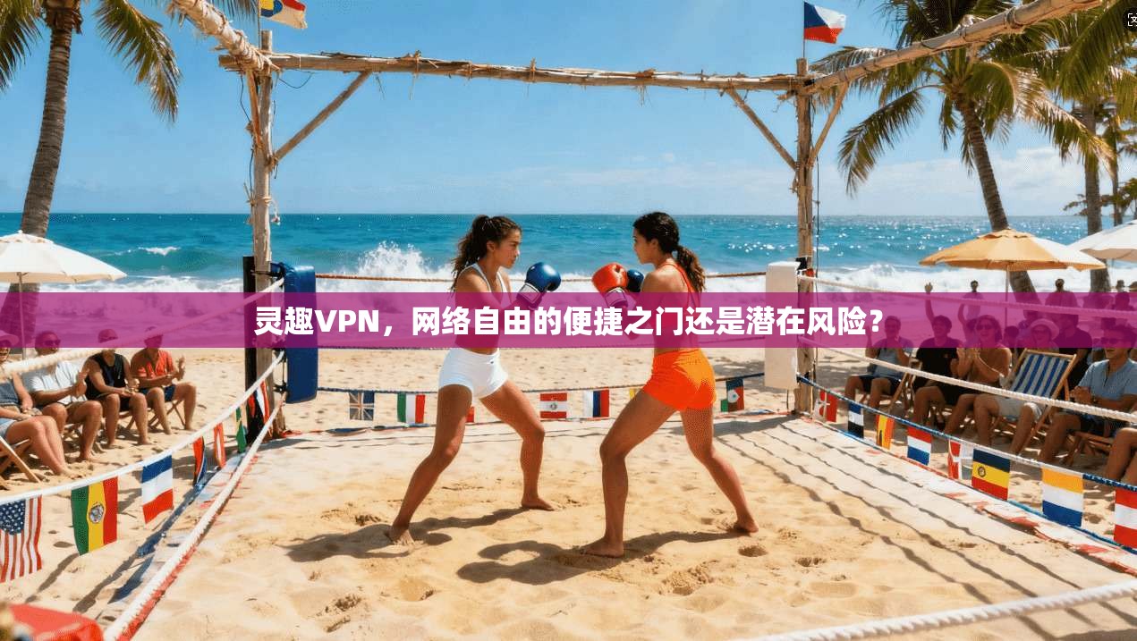 灵趣VPN，网络自由的便捷之门还是潜在风险？