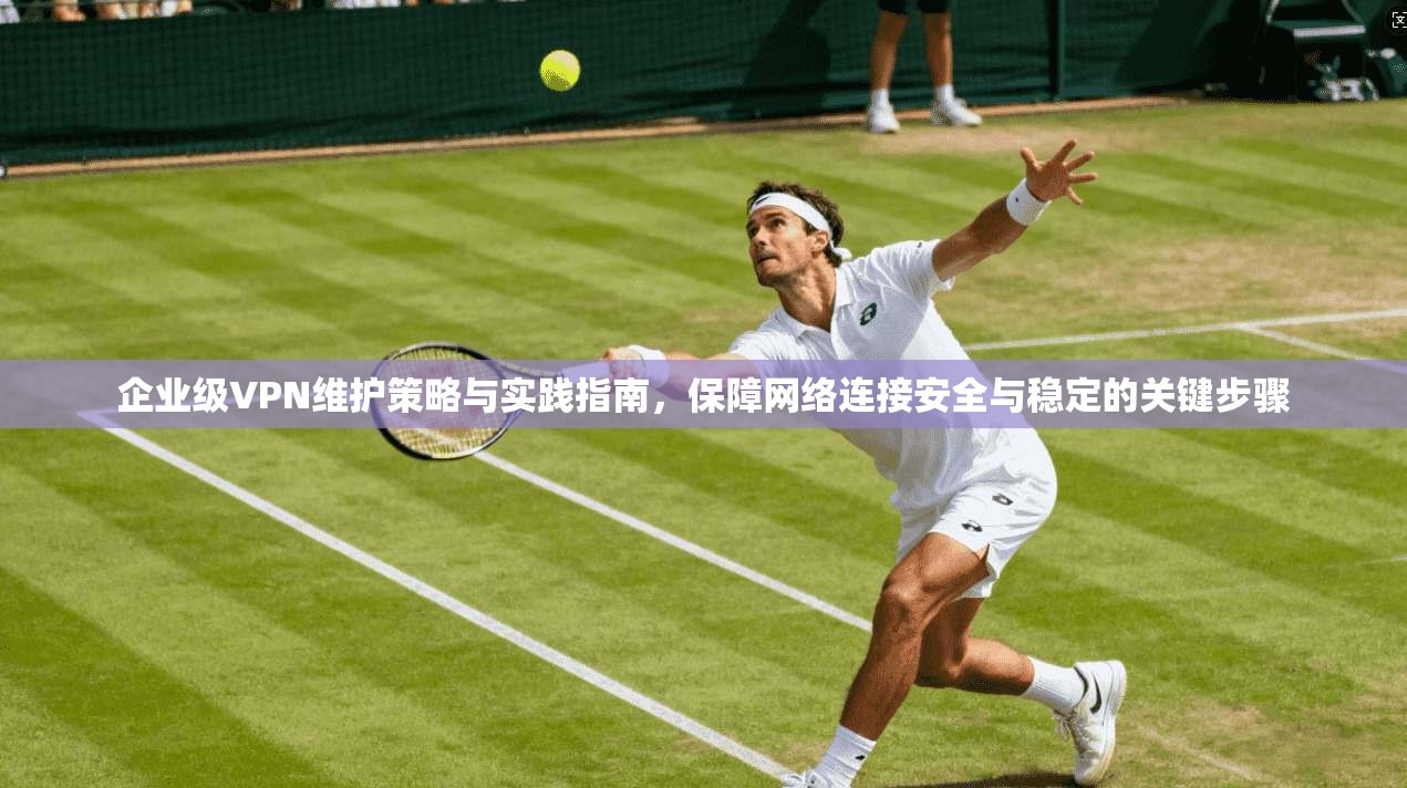 企业级VPN维护策略与实践指南，保障网络连接安全与稳定的关键步骤