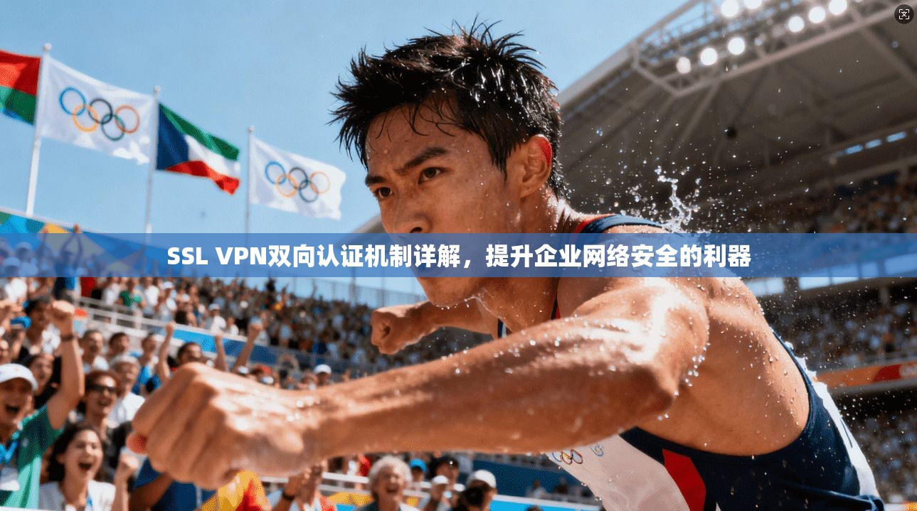SSL VPN双向认证机制详解，提升企业网络安全的利器