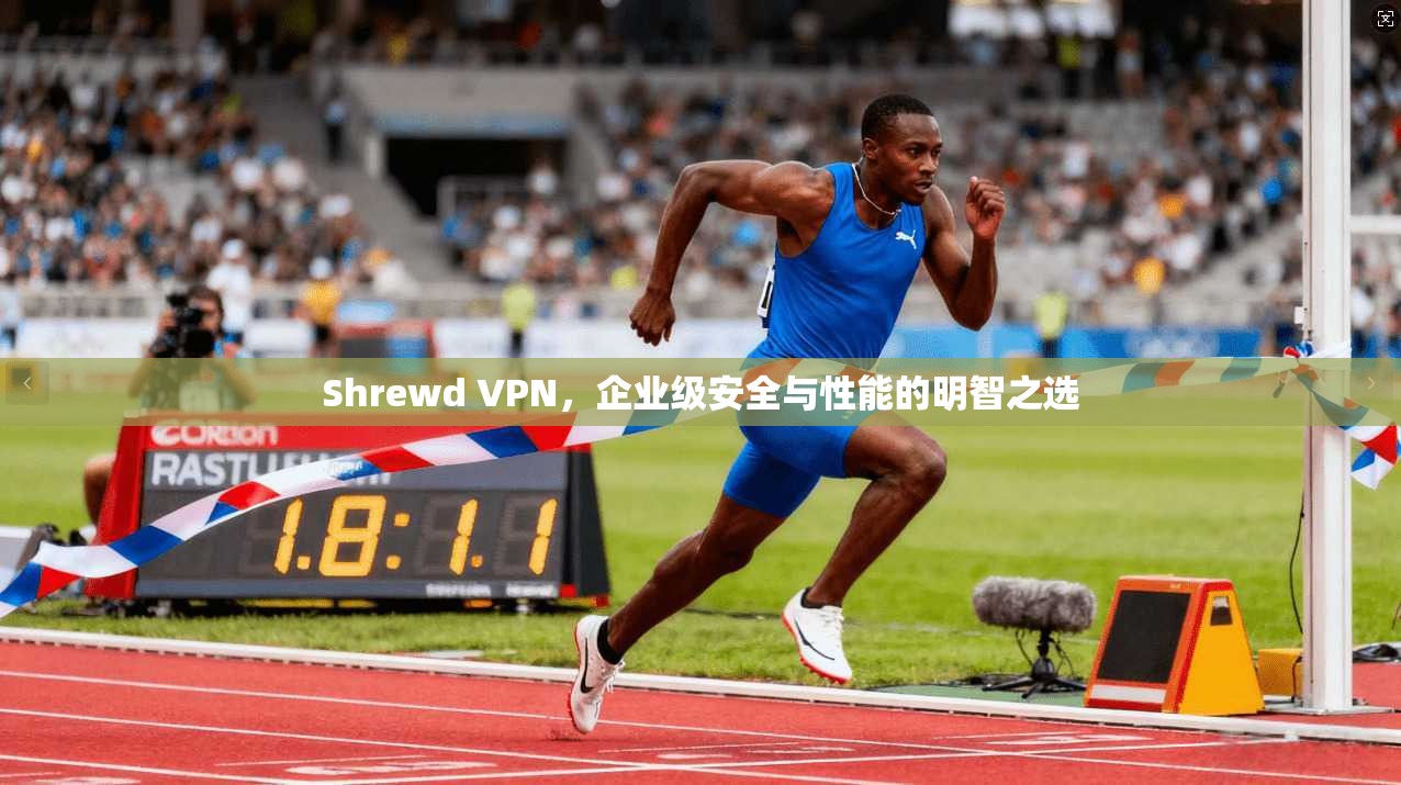 Shrewd VPN，企业级安全与性能的明智之选