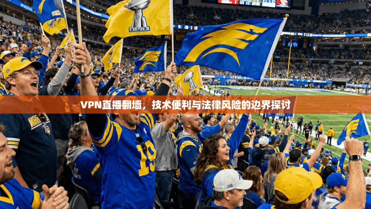 VPN直播翻墙，技术便利与法律风险的边界探讨
