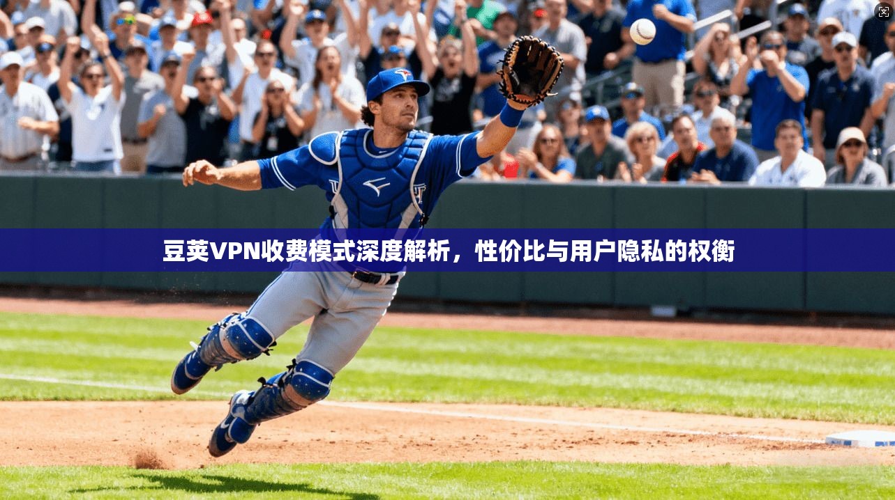 豆荚VPN收费模式深度解析，性价比与用户隐私的权衡