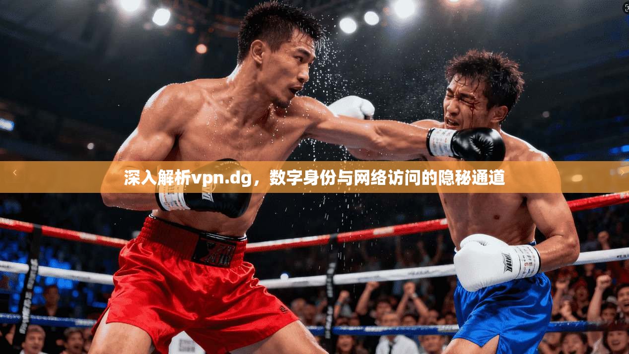 深入解析vpn.dg，数字身份与网络访问的隐秘通道