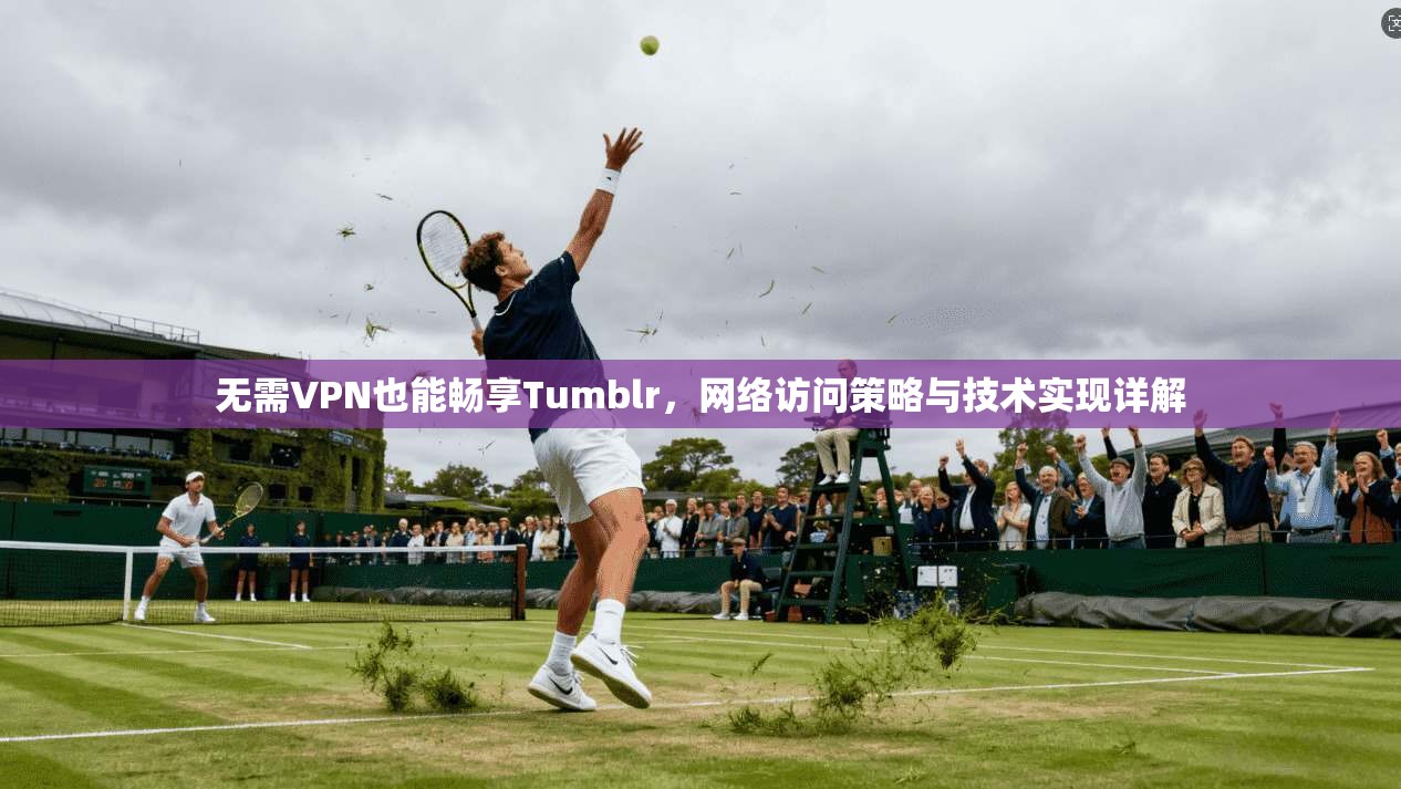 无需VPN也能畅享Tumblr，网络访问策略与技术实现详解