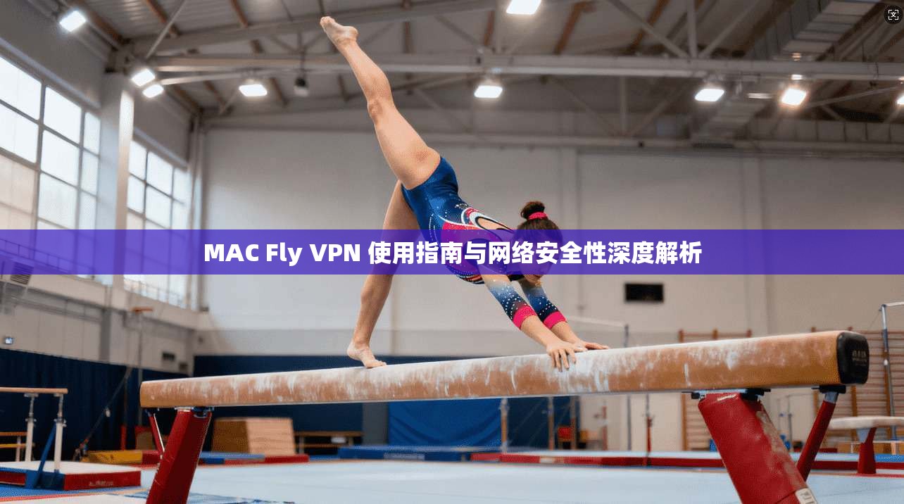 MAC Fly VPN 使用指南与网络安全性深度解析