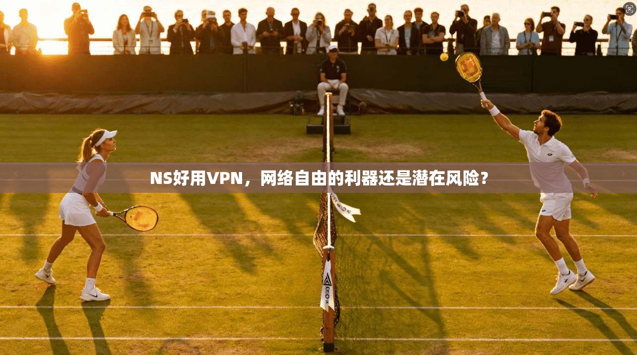 NS好用VPN，网络自由的利器还是潜在风险？