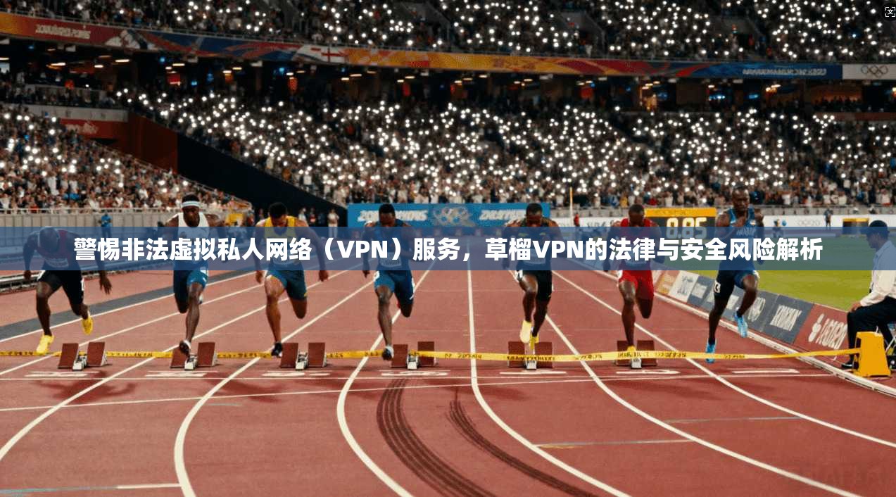 警惕非法虚拟私人网络(VPN)服务,草榴VPN的法律与安全风险解析 警惕非法虚拟私人网络(VPN)服务,草榴VPN的法律与安全风险解析