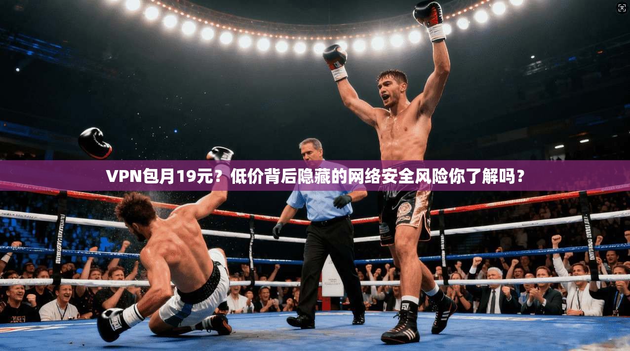 VPN包月19元？低价背后隐藏的网络安全风险你了解吗？